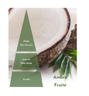 Huile de massage Noix de coco - Pyramide olfactive