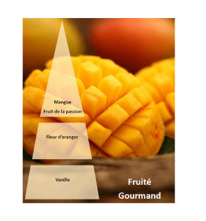 Huile de massage Mangue - Pyramide olfactive