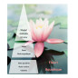 Huile de massage Lotus 3 litres