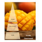 Huile de massage Mangue 3 litres Huile de massage Mangue 3 litres