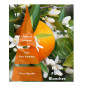 Huile de massage Fleur d'Oranger 3 litres