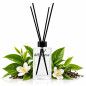 Diffuseur de parfum Thé Vert 200 ml – Parfum de Grasse Diffuseur de parfum Thé Vert 200 ml – Parfum de Grasse